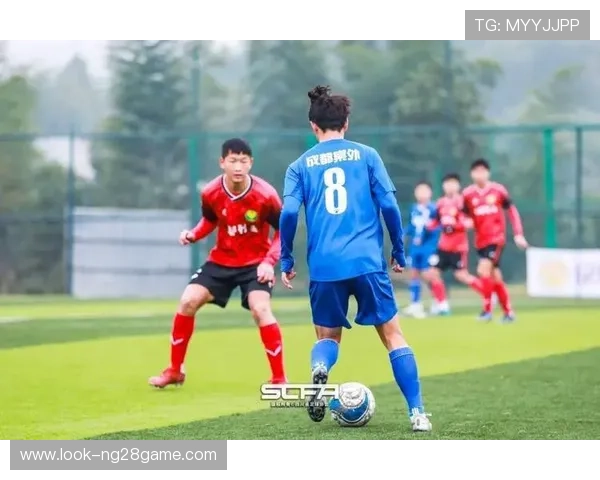 重庆足球赛事盛况：激情对决点燃山城热血，球迷热情高涨一触即发